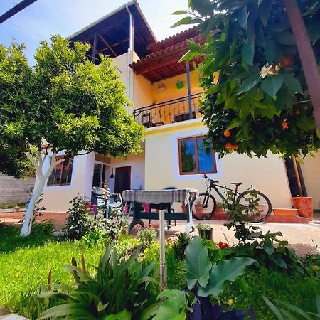 Guest House Noah&Kristel Berat Exterior foto